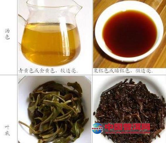 普洱生茶与熟茶的区分