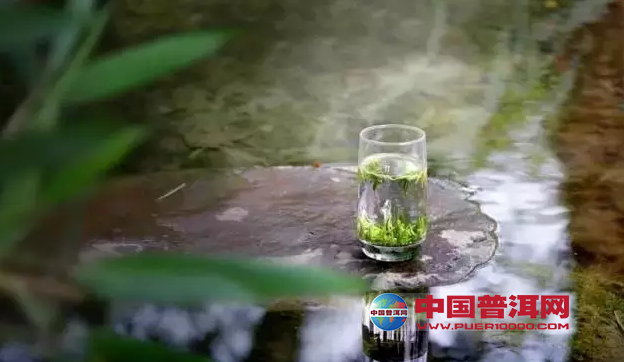 实践证明绿茶用沸水冲泡要优于温水冲泡-茶艺