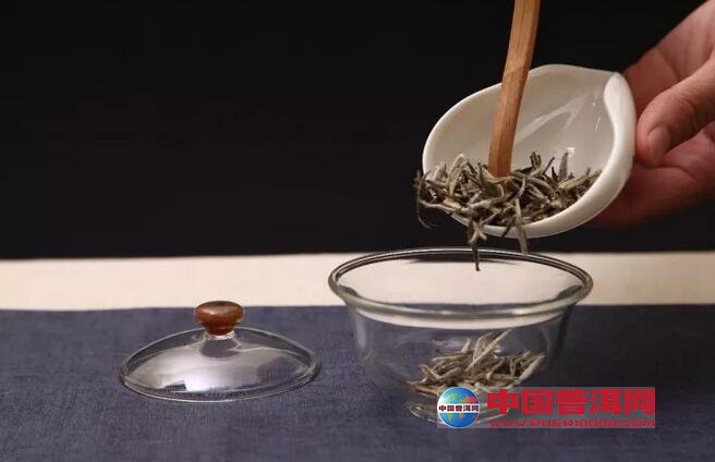 白毫银针茶为什么是老的好-六大茶类-中国普洱