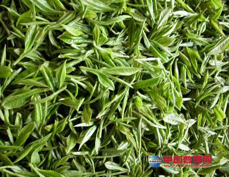 北港毛尖是条形黄茶的一种,产于湖南省岳阳市北港和岳阳县康王乡一带