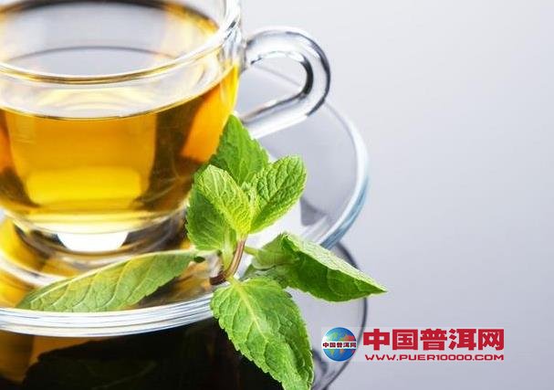 常喝薄荷茶可改善记忆力-其他茶类-茶叶茶库-中国普洱网—普洱茶官方