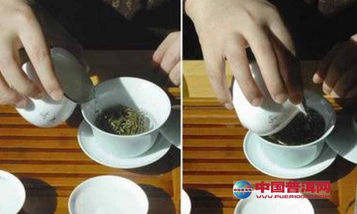 泡茶方法與步驟