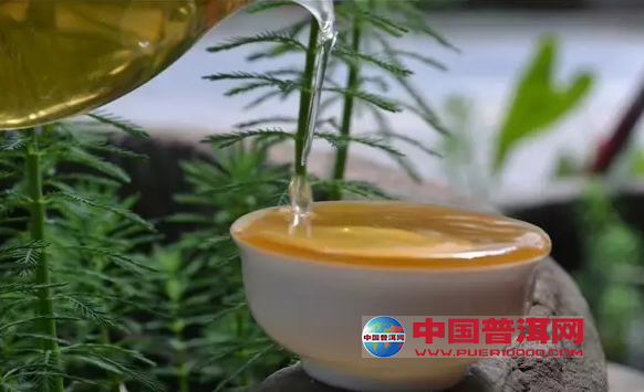 普洱茶
