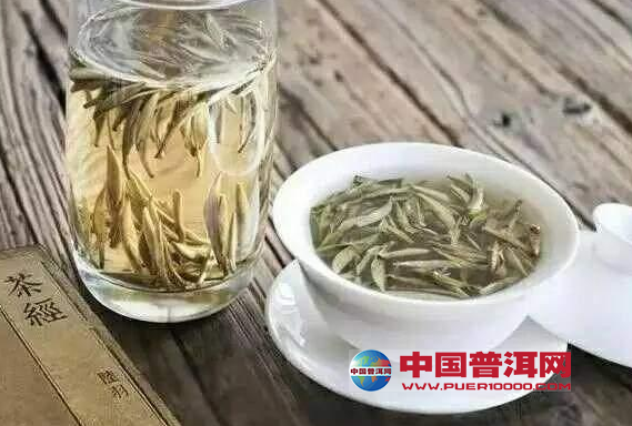 白茶的多種沖泡方法簡介